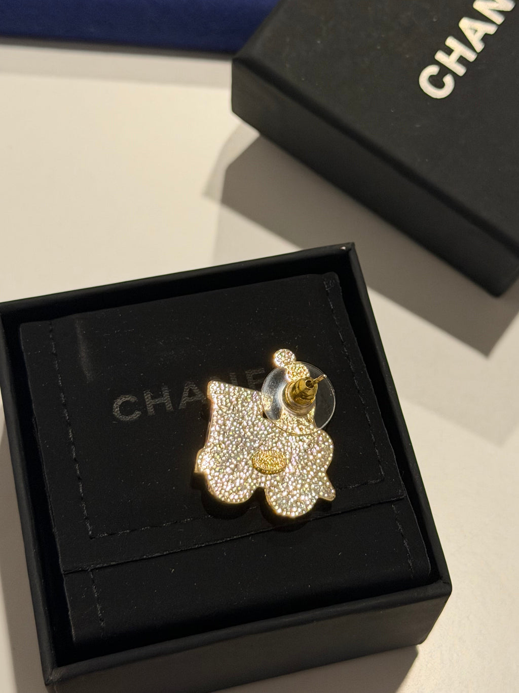 Money Train Earrings - Stainless