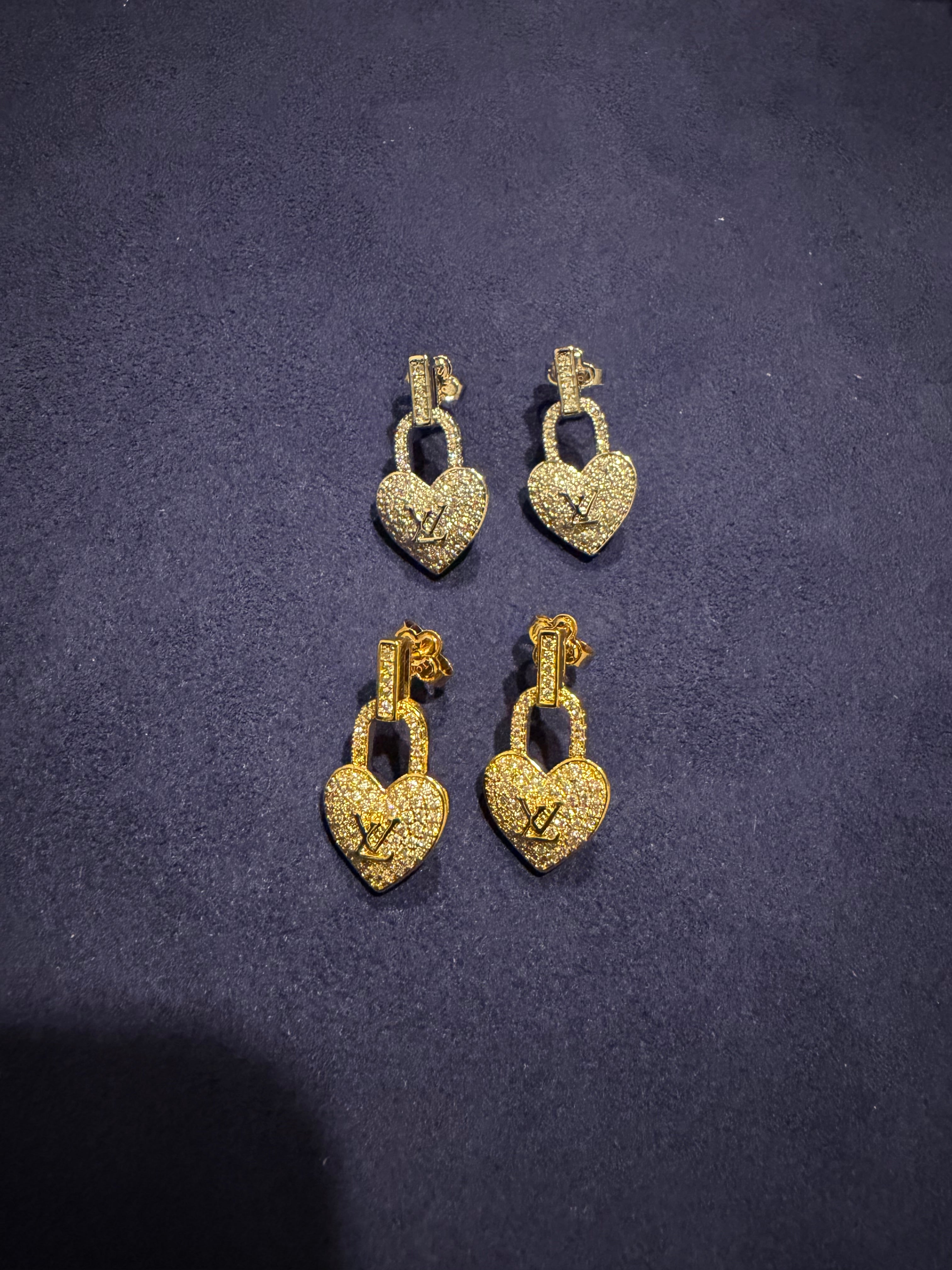 Lock My Heart Away Earrings - Stainless