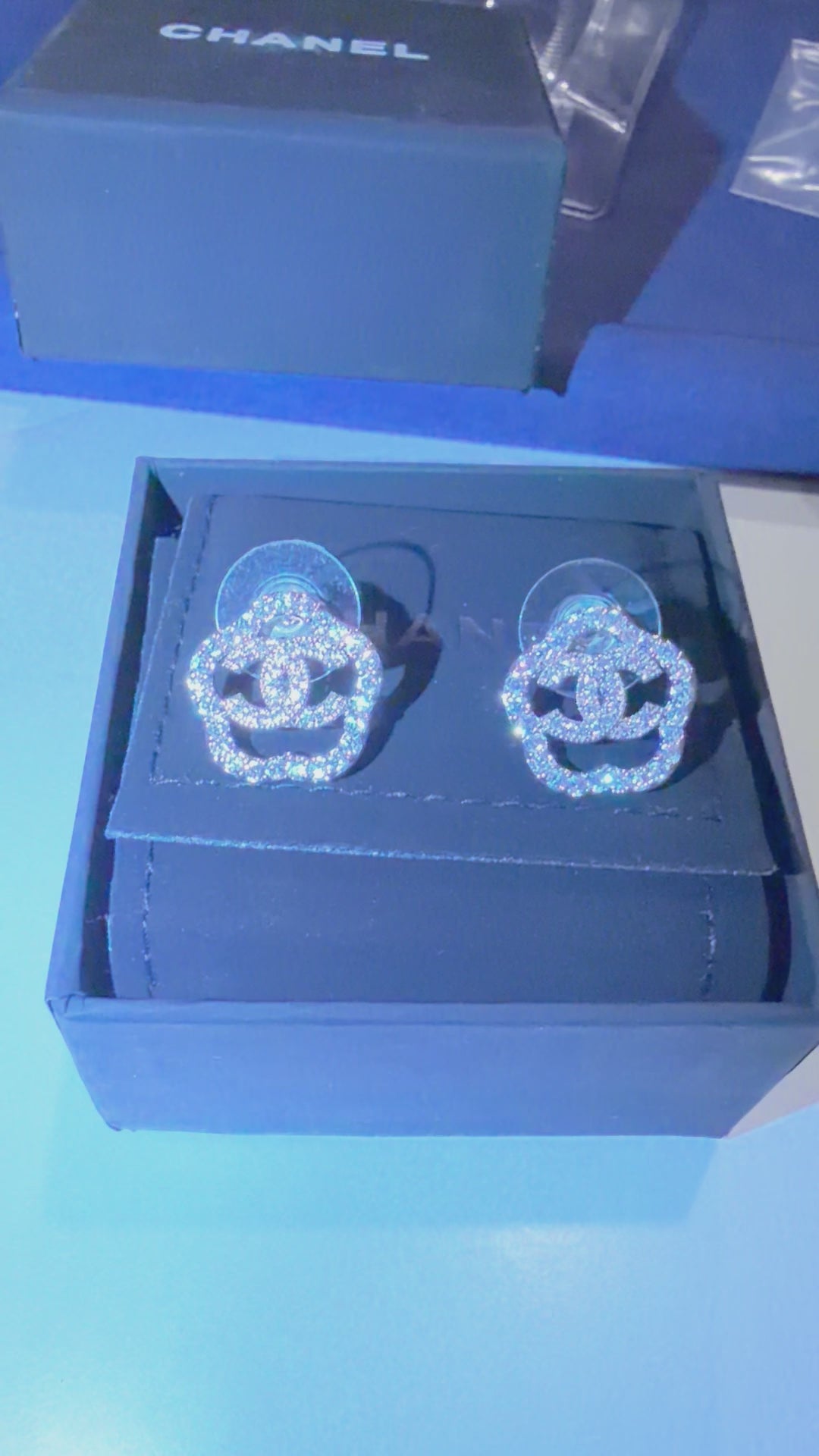 Jessy Earrings - Stainless